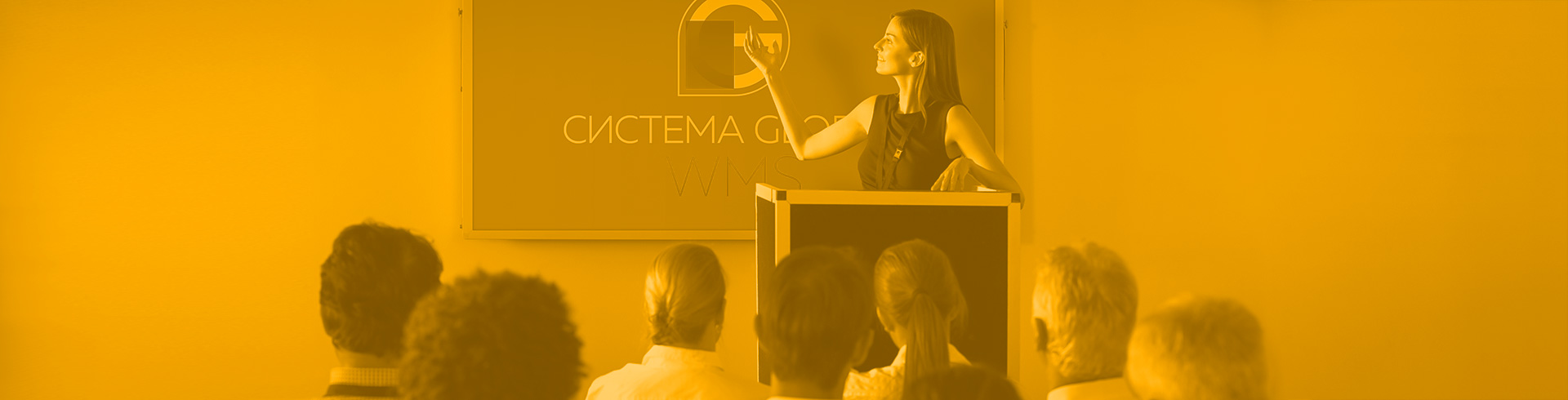 внедрение WMS системы управления складом Global WMS